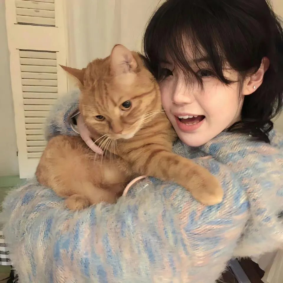 功夫熊猫:盖世传奇第三季