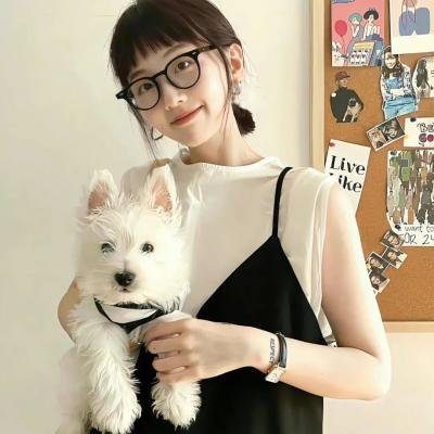 僧侣和枪